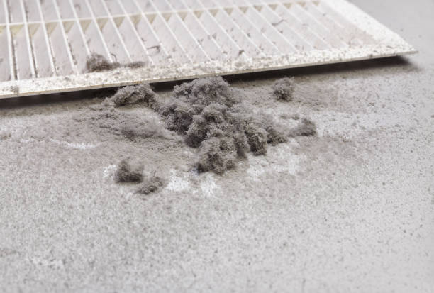 Best Dryer Vent Cleaning Services  in Olney, IL