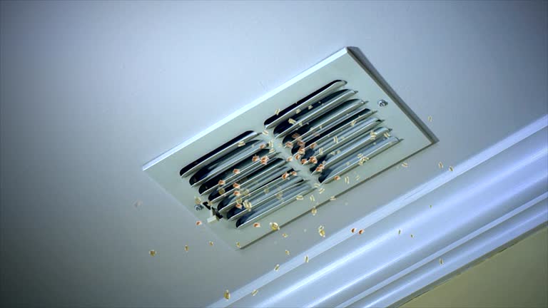 Best Ductwork Cleaning Services  in Olney, IL
