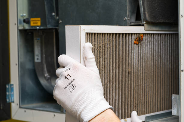 Best Affordable Duct Cleaning Services  in Olney, IL