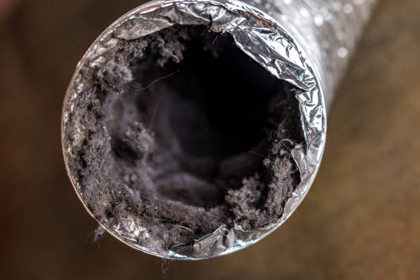 Best Air Duct Cleaning Company Near Me  in Olney, IL