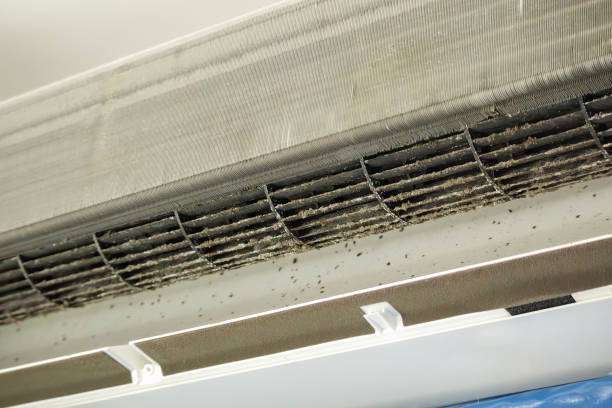 Best Air Duct Cleaning Near Me  in Olney, IL