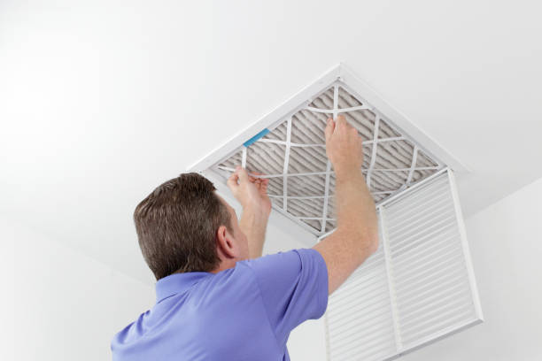 Best Home Air Vent Cleaning  in Olney, IL